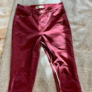 Madewell Velvet pants in 26